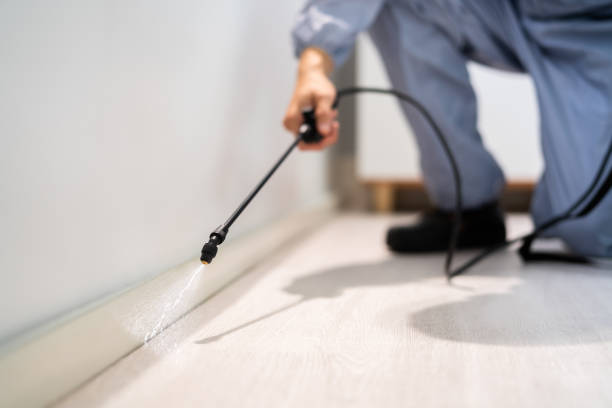 Bed Bug Pre-Treatment Preparation Assessment in Devens