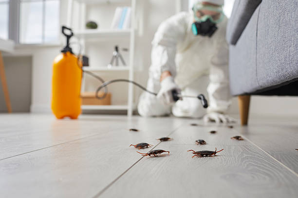 Post-Treatment Bed Bug Interceptor Monitoring in Devens