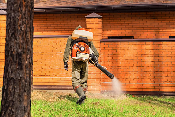 Bed Bug Clearance Verification and Documentation in Devens